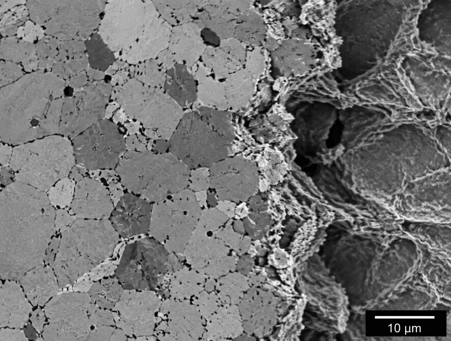 Micrograph of a polished material cross-section and fracture surface